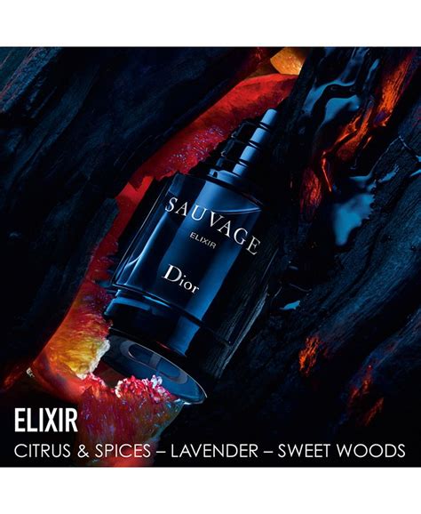 dior elixir macy's